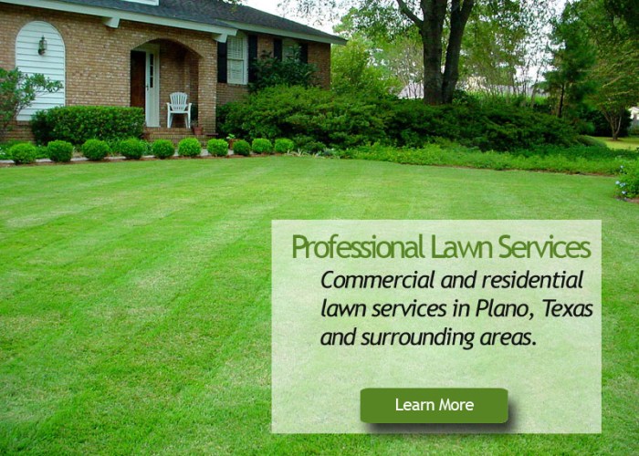Professional Lawn Services