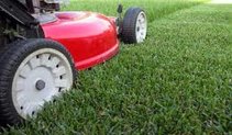 Fast and Free Mowing Estimates